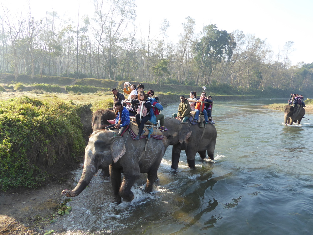 Výprava na slonoch