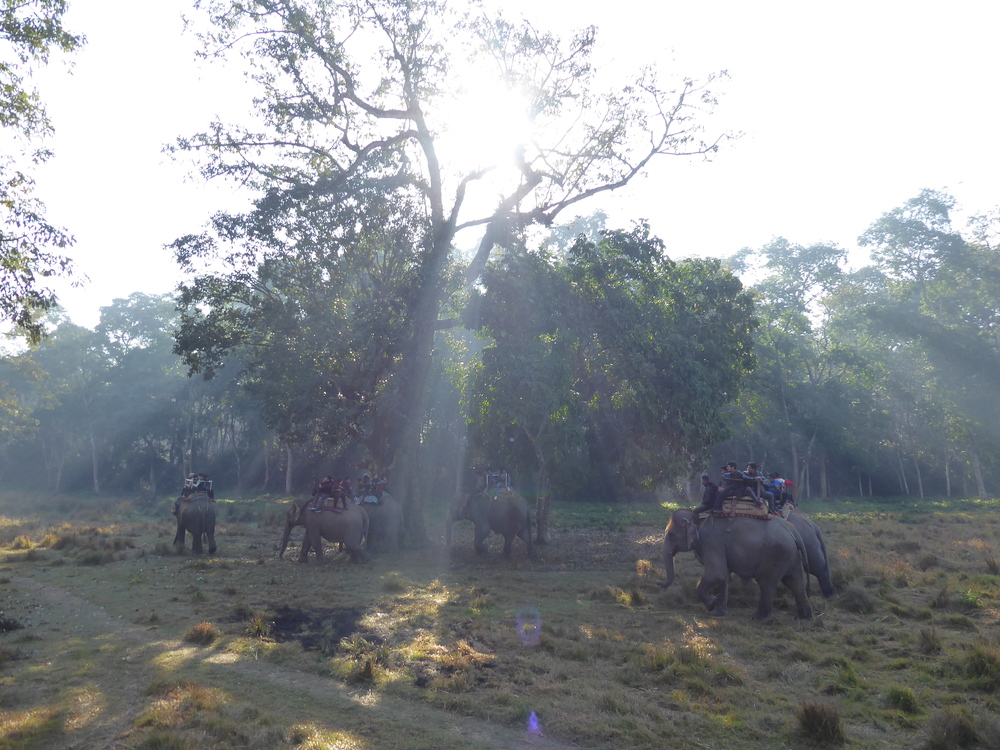 Výprava na slonoch II