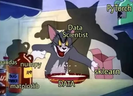 Tom (from Tom & Jerry) haphazardly mixing food ingredients labeled as data, Pytorch, Numpy, etc.